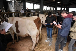 Les sept meilleurs jeunes pointeurs de Haute-Loire qualifiés pour le Salon de l&#039;agriculture 2020