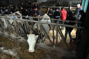 Les sept meilleurs jeunes pointeurs de Haute-Loire qualifiés pour le Salon de l&#039;agriculture 2020