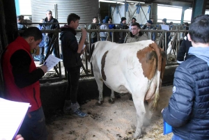 Les sept meilleurs jeunes pointeurs de Haute-Loire qualifiés pour le Salon de l&#039;agriculture 2020