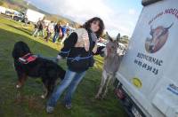 La foire aux ânes de Bas-en-Basset en images