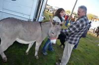 La foire aux ânes de Bas-en-Basset en images