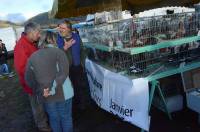 La foire aux ânes de Bas-en-Basset en images