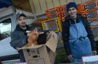 La foire aux ânes de Bas-en-Basset en images