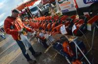 La foire aux ânes de Bas-en-Basset en images