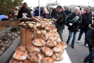 Bas-en-Basset : la foule des grands jours à la Foire aux ânes