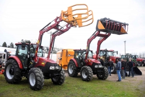 Bas-en-Basset : la foule des grands jours à la Foire aux ânes