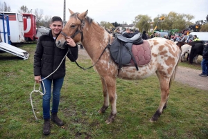 Bas-en-Basset : la foule des grands jours à la Foire aux ânes