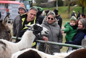 Bas-en-Basset : la foule des grands jours à la Foire aux ânes