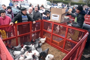 Bas-en-Basset : la foule des grands jours à la Foire aux ânes