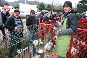 Bas-en-Basset : la foule des grands jours à la Foire aux ânes