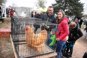 Bas-en-Basset : la foule des grands jours à la Foire aux ânes