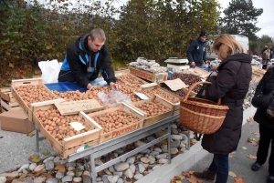 Bas-en-Basset : la foule des grands jours à la Foire aux ânes