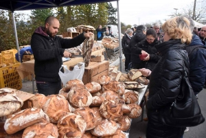 Bas-en-Basset : la foule des grands jours à la Foire aux ânes