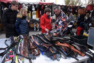 Bas-en-Basset : la foule des grands jours à la Foire aux ânes