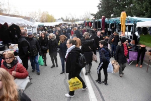 Bas-en-Basset : la foule des grands jours à la Foire aux ânes