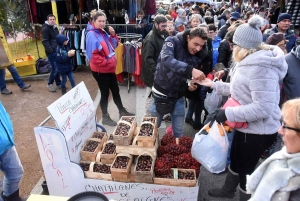 Bas-en-Basset : la foule des grands jours à la Foire aux ânes