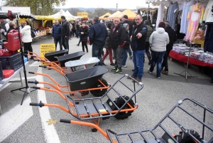 Bas-en-Basset : la foule des grands jours à la Foire aux ânes