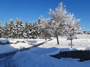 Vos photos de la Haute-Loire sous la neige