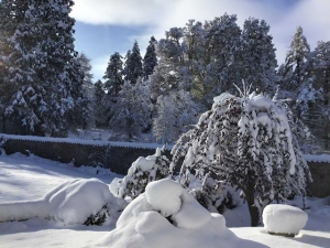 Vos photos de la Haute-Loire sous la neige