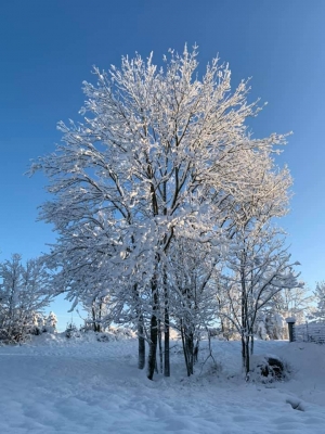 Vos photos de la Haute-Loire sous la neige