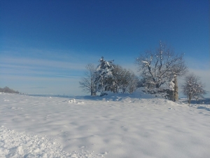 Dans le Lizieux