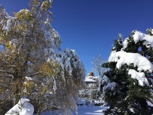 Vos photos de la Haute-Loire sous la neige