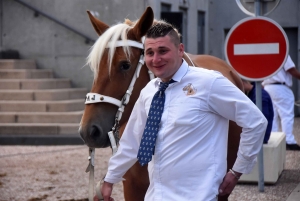 Chevaux lourds : une jument yssingelaise titrée à domicile