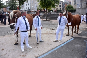 Chevaux lourds : une jument yssingelaise titrée à domicile