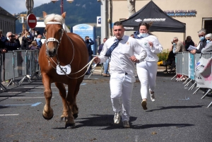 Chevaux lourds : une jument yssingelaise titrée à domicile