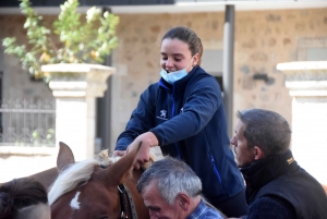 Chevaux lourds : une jument yssingelaise titrée à domicile