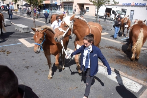 Chevaux lourds : une jument yssingelaise titrée à domicile