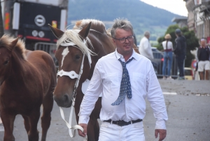 Chevaux lourds : une jument yssingelaise titrée à domicile