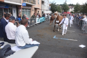 Chevaux lourds : une jument yssingelaise titrée à domicile