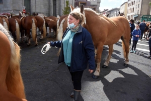 Chevaux lourds : une jument yssingelaise titrée à domicile