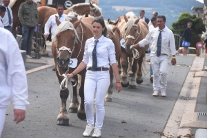 Chevaux lourds : une jument yssingelaise titrée à domicile