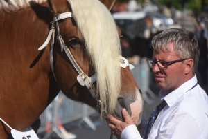 Chevaux lourds : une jument yssingelaise titrée à domicile