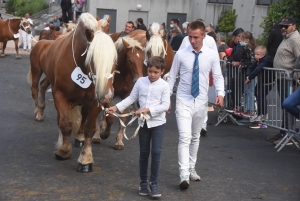 Chevaux lourds : une jument yssingelaise titrée à domicile