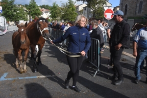 Chevaux lourds : une jument yssingelaise titrée à domicile