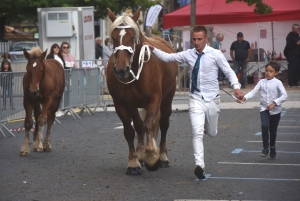 Chevaux lourds : une jument yssingelaise titrée à domicile