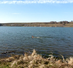 Saint-Front : une baignade revigorante dans une eau à... 7°