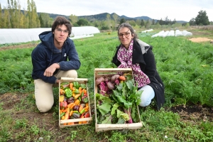 Yssingeaux : deux maraîchers bio associent leurs productions pour des paniers