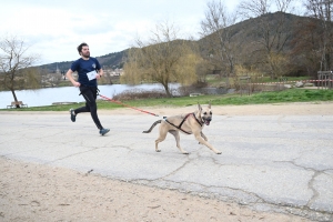 35 participants pour le premier canicross à Bas-en-Basset