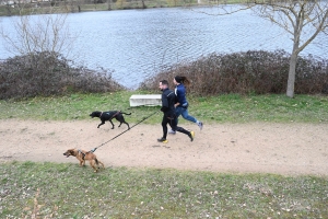 35 participants pour le premier canicross à Bas-en-Basset