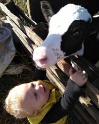 Bas-en-Basset : les bambins de la crèche visitent une ferme