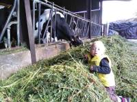 Bas-en-Basset : les bambins de la crèche visitent une ferme