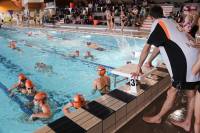 Natation : 130 nageurs au meeting départemental à Monistrol-sur-Loire