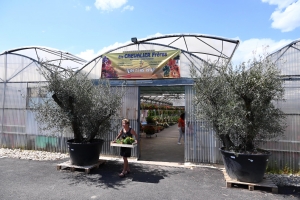 Le conseil du jardinier : des légumes à planter maintenant pour en profiter cet hiver