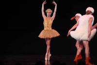 Yssingeaux : carton plein pour le spectacle de danse &quot;Tutu&quot;