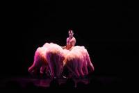 Yssingeaux : carton plein pour le spectacle de danse &quot;Tutu&quot;