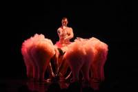 Yssingeaux : carton plein pour le spectacle de danse &quot;Tutu&quot;